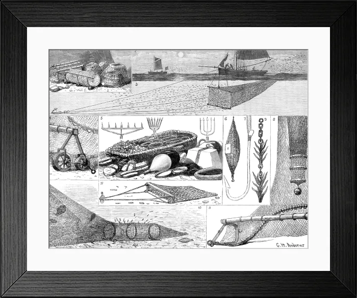 Framed Print : The International Fisheries Exhibition: articles of fishing gear, 1883. Creator: Unknown Framed Print : The International Fisheries Exhibition: articles of fishing gear, 1883. Creator: Unknown