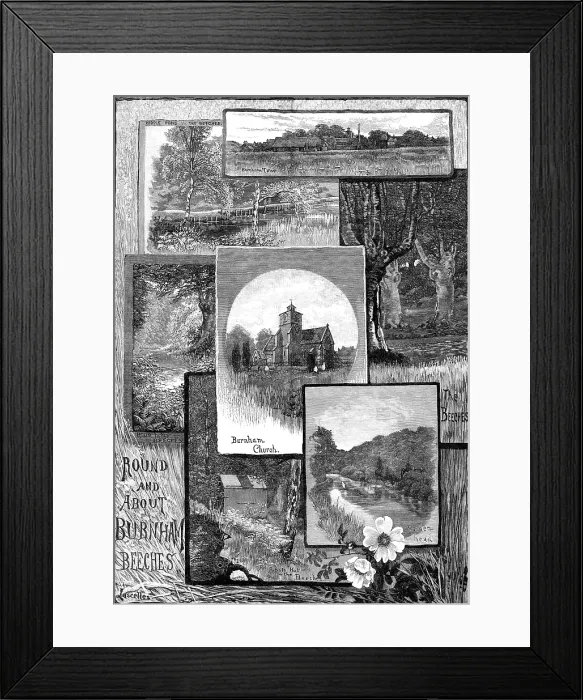 Framed Print : Round and About Burnham Beeches, 1883. Creator: Lascelles Framed Print : Round and About Burnham Beeches, 1883. Creator: Lascelles