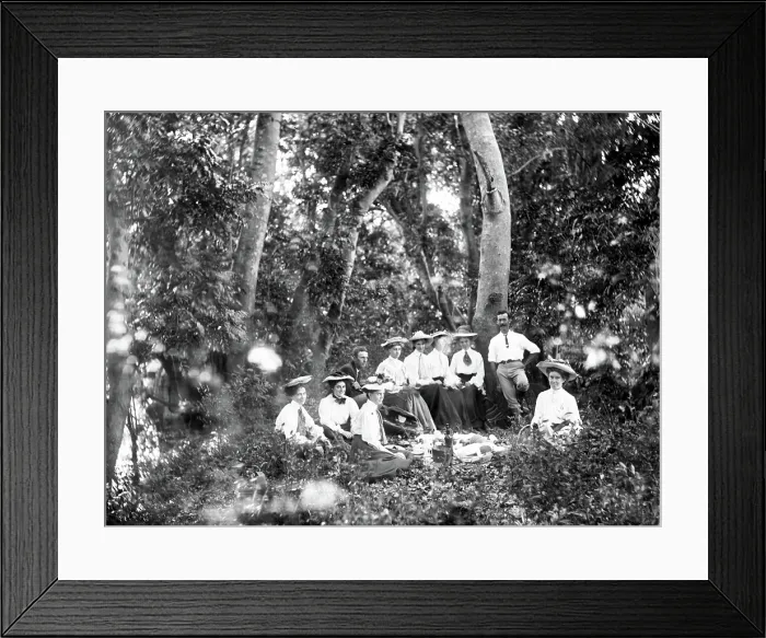 Framed Print : Rainforest picnic, possibly Gold Coast hinterland, 1885. Creator: Robert Augustus Henry L'Estrange. Rainforest picnic, possibly Gold Coast hinterland, 1885 Framed Print : Rainforest picnic, possibly Gold Coast hinterland, 1885. Creator: Robert Augustus Henry L'Estrange. Rainforest picnic, possibly Gold Coast hinterland, 1885