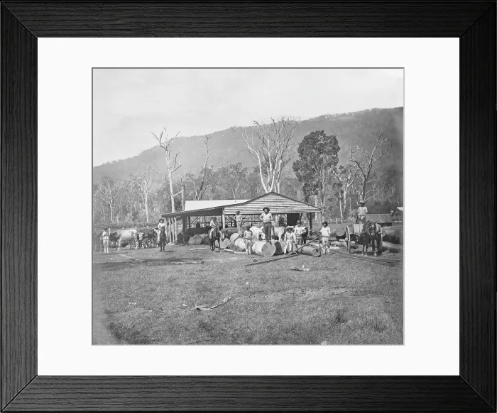 Framed Print : Saw mill, possibly Coomera region, Queensland, c1880s. Creator: Robert Augustus Henry L'Estrange. Saw mill, possibly Coomera region, Queensland, c1880s Framed Print : Saw mill, possibly Coomera region, Queensland, c1880s. Creator: Robert Augustus Henry L'Estrange. Saw mill, possibly Coomera region, Queensland, c1880s