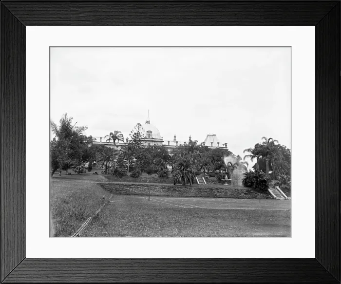 Framed Print : Brisbane City Botanic Gardens, 1910. Creator: Robert Augustus Henry L'Estrange. Brisbane City Botanic Gardens, 1910. Creator: Robert Augustus Henry L'Estrange Framed Print : Brisbane City Botanic Gardens, 1910. Creator: Robert Augustus Henry L'Estrange. Brisbane City Botanic Gardens, 1910. Creator: Robert Augustus Henry L'Estrange