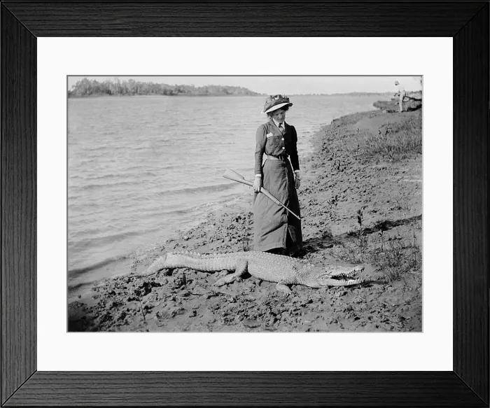 Framed Print : Unknown lady with rifle and a saltwater crocodile, 1910. Creator: Robert Augustus Henry L'Estrange. Unknown lady with rifle and a saltwater crocodile, 1910