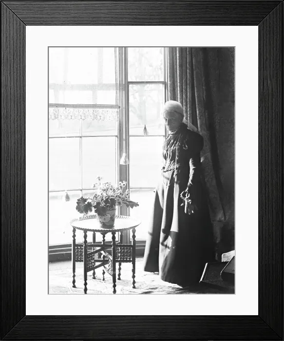 Framed Print : Aunt Emily Hudson ( 2nd wife of Robert Spear Hudson of Hudson Soaps), c1900s Framed Print : Aunt Emily Hudson ( 2nd wife of Robert Spear Hudson of Hudson Soaps), c1900s