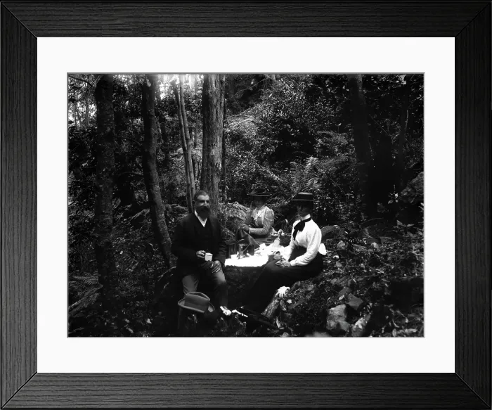 Framed Print : Rainforest walk, picnic possibly Tamborine Mountain region, c1900s Framed Print : Rainforest walk, picnic possibly Tamborine Mountain region, c1900s