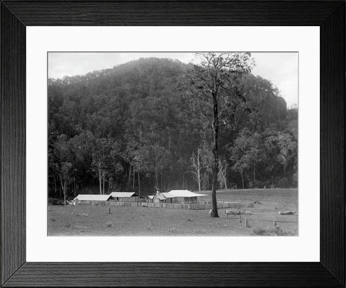 Framed Print : Robert Augustus Henry L'Estrange's 'Homestead' Canungra, c1880s Framed Print : Robert Augustus Henry L'Estrange's 'Homestead' Canungra, c1880s