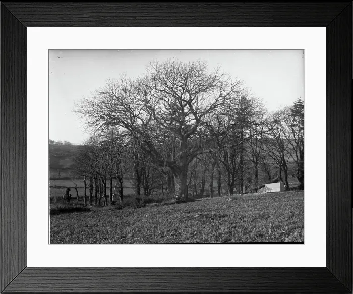 Framed Print : Stone bridge over river unknown, possibly Chester England, c1900s Framed Print : Stone bridge over river unknown, possibly Chester England, c1900s