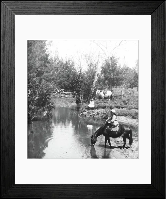 Framed Print : Ladies giving their horses a drink, c1900s. Creator: Robert Augustus Henry L'Estrange. Ladies giving their horses a drink, c1900s. Creator: Robert Augustus Henry L'Estrange Framed Print : Ladies giving their horses a drink, c1900s. Creator: Robert Augustus Henry L'Estrange. Ladies giving their horses a drink, c1900s. Creator: Robert Augustus Henry L'Estrange