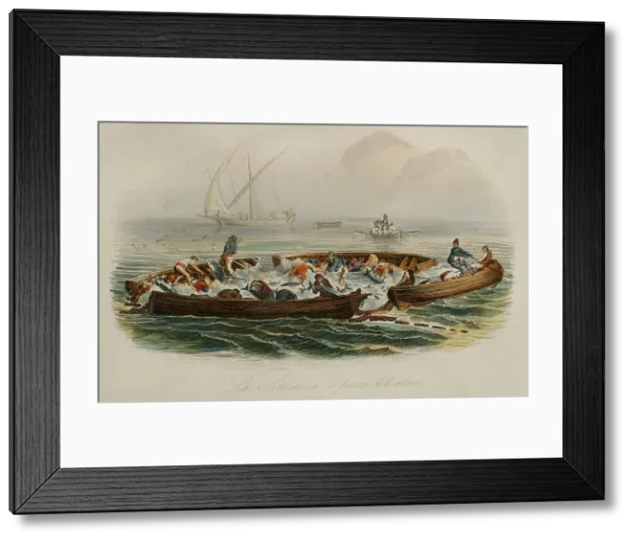 Framed Print : Tuna fishing, 1856. Creator: Edouard Travies Framed Print : Tuna fishing, 1856. Creator: Edouard Travies