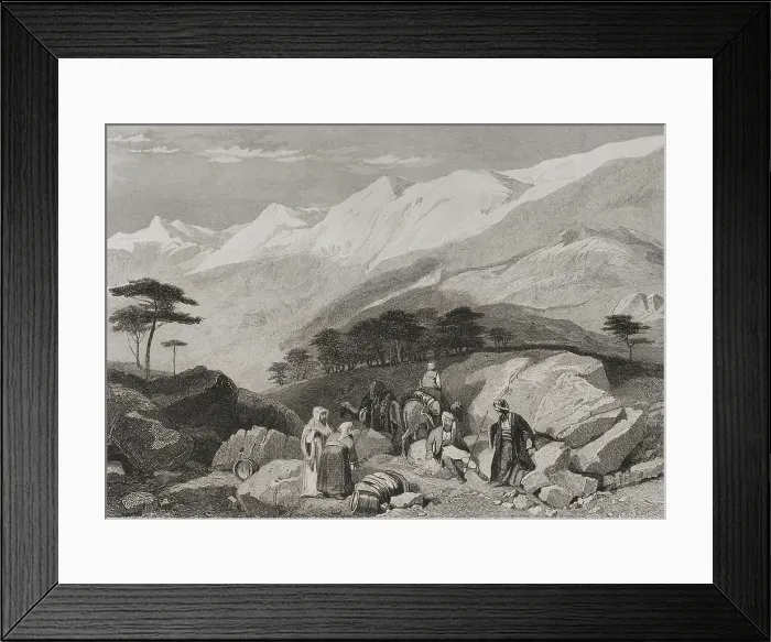 Framed Print : Cedars, Mount Lebanon, 1840. Creator: Charles Nicolas Ransonnette Framed Print : Cedars, Mount Lebanon, 1840. Creator: Charles Nicolas Ransonnette