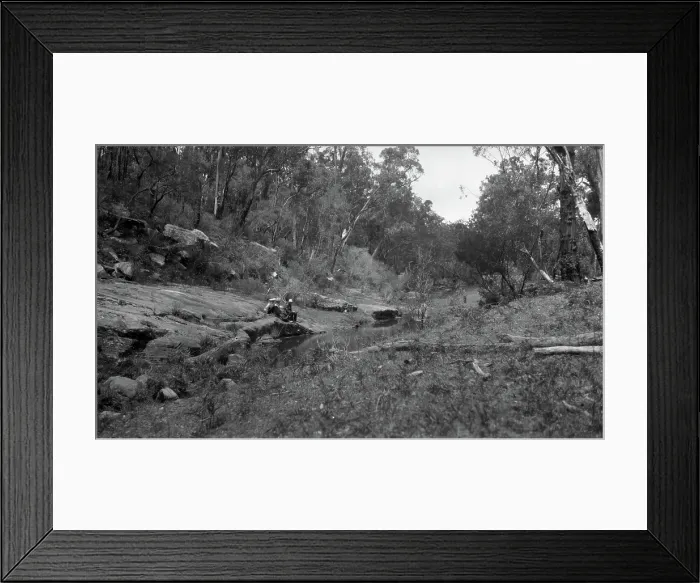 Framed Print : Australian bush scene, c1900s. Creator: Robert Augustus Henry L'Estrange. Australian bush scene, c1900s. Creator: Robert Augustus Henry L'Estrange Framed Print : Australian bush scene, c1900s. Creator: Robert Augustus Henry L'Estrange. Australian bush scene, c1900s. Creator: Robert Augustus Henry L'Estrange