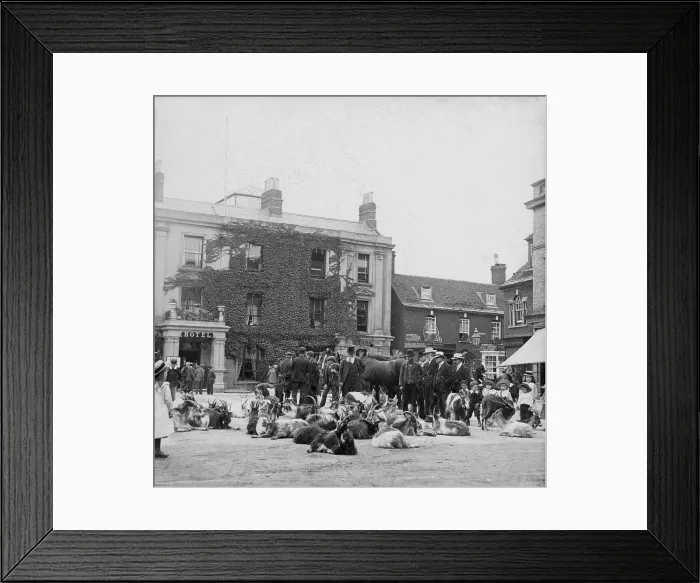 Framed Print : Goat market, possibly Ireland, 1895. Creator: Robert Augustus Henry L'Estrange. Goat market, possibly Ireland, 1895. Creator: Robert Augustus Henry L'Estrange Framed Print : Goat market, possibly Ireland, 1895. Creator: Robert Augustus Henry L'Estrange. Goat market, possibly Ireland, 1895. Creator: Robert Augustus Henry L'Estrange