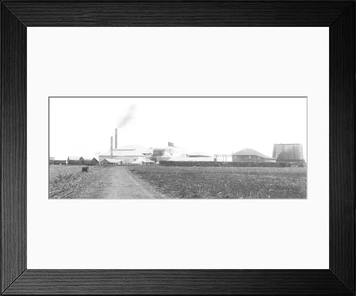 Framed Print : Little Rocky Point Sugar Mill, Near Woongoolba, Qld, 1882. Creator: Robert Augustus Henry L'Estrange. Little Rocky Point Sugar Mill, Near Woongoolba, Qld, 1882