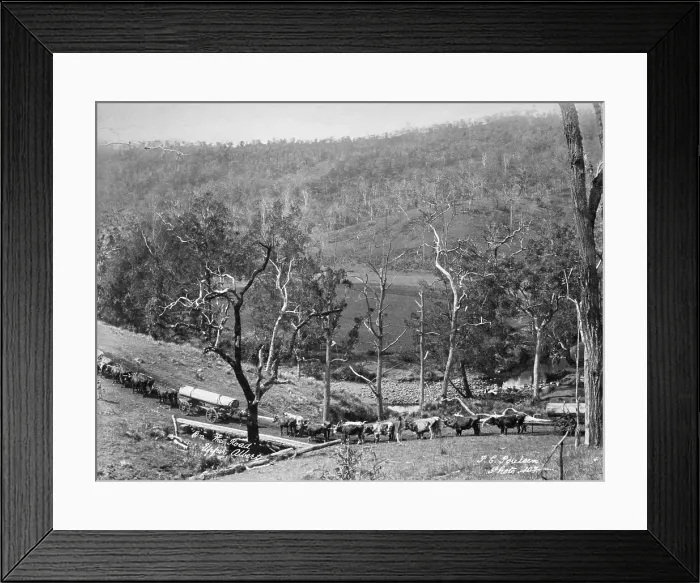 Framed Print : Upper Albert On the road, 1894. Creator: Poul C Poulsen Framed Print : Upper Albert On the road, 1894. Creator: Poul C Poulsen