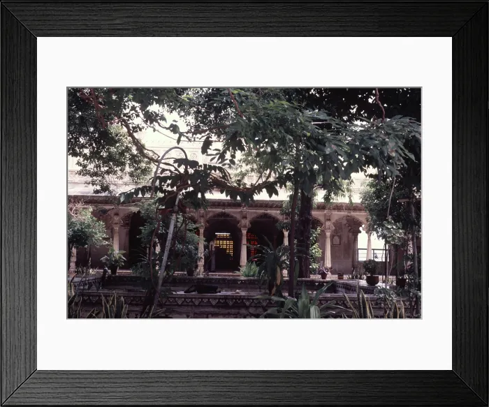 Framed Print : Garden, Udaipur, India, 1988. Creator: Amanda Waite Framed Print : Garden, Udaipur, India, 1988. Creator: Amanda Waite