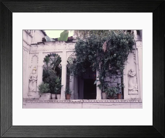 Framed Print : Garden, Udaipur, India, 1988. Creator: Amanda Waite Framed Print : Garden, Udaipur, India, 1988. Creator: Amanda Waite