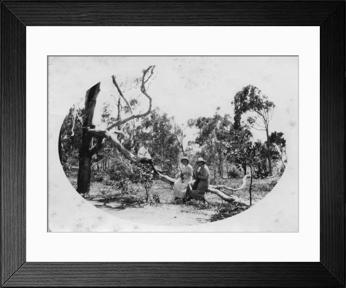 Framed Print : Camping at Woody Point, Redcliffe Peninsula, Queensland, 1912. Creator: Robert Augustus Henry L'Estrange. Camping at Woody Point, Redcliffe Peninsula, Queensland, 1912 Framed Print : Camping at Woody Point, Redcliffe Peninsula, Queensland, 1912. Creator: Robert Augustus Henry L'Estrange. Camping at Woody Point, Redcliffe Peninsula, Queensland, 1912