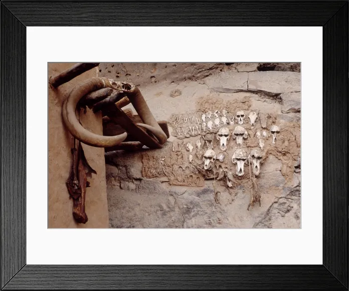 Framed Print : Monkey skulls, Bandiagara Escarpment, Pays Dogon, Mali, 1990. Creator: Amanda Waite Framed Print : Monkey skulls, Bandiagara Escarpment, Pays Dogon, Mali, 1990. Creator: Amanda Waite
