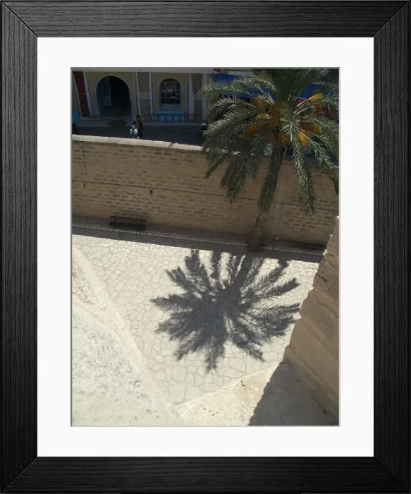 Framed Print : Palm tree and shadow, Sousse, Tunisia, 2009. Creator: Amanda Waite Framed Print : Palm tree and shadow, Sousse, Tunisia, 2009. Creator: Amanda Waite