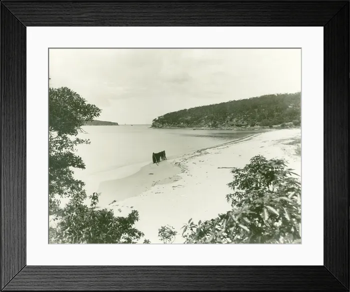 Framed Print : Chinamans Beach, Mosman, c1910s. Creator: Unknown Framed Print : Chinamans Beach, Mosman, c1910s. Creator: Unknown