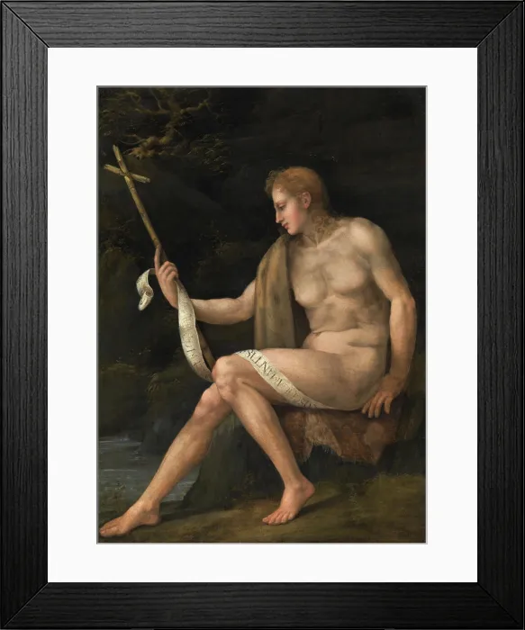 Framed Print : Saint John the Baptist in the Wilderness, early to mid-16th century. Creator: Bacchiacca Framed Print : Saint John the Baptist in the Wilderness, early to mid-16th century. Creator: Bacchiacca
