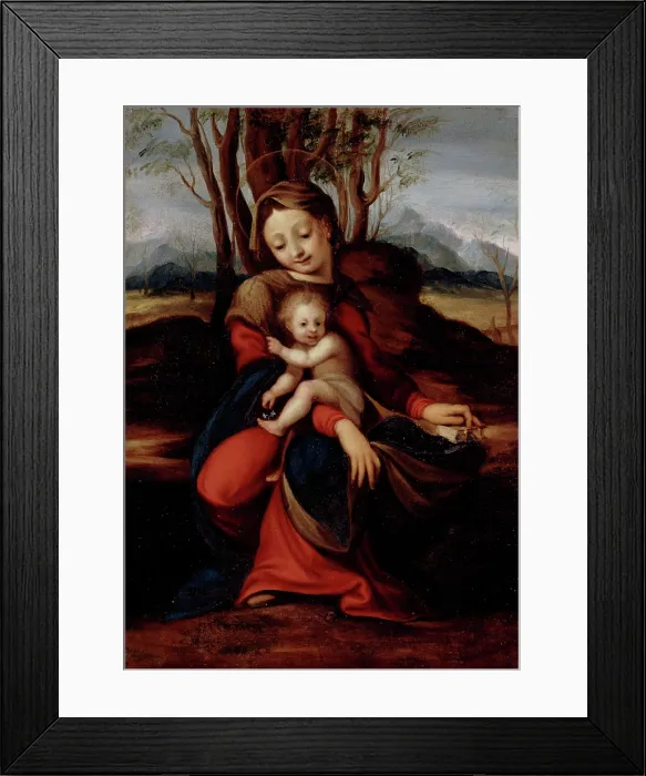 Framed Print : Madonna and Child, between 1515 and 1535. Creator: Circle of Correggio Framed Print : Madonna and Child, between 1515 and 1535. Creator: Circle of Correggio