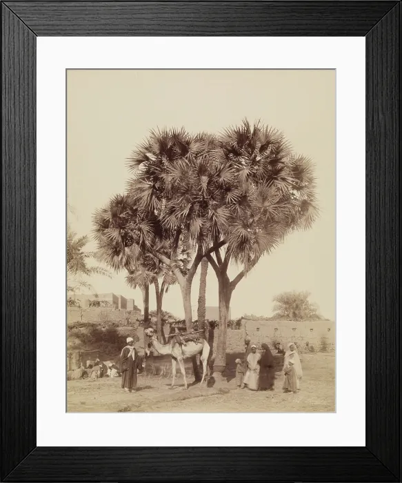 Framed Print : View of an Egyptian Village, 19th century. Creator: Anon Framed Print : View of an Egyptian Village, 19th century. Creator: Anon