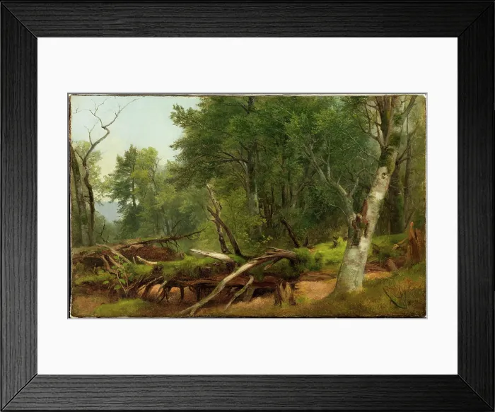 Framed Print : Forest Scene in the Catskills, between 1855 and 1860. Creator: Asher Brown Durand Framed Print : Forest Scene in the Catskills, between 1855 and 1860. Creator: Asher Brown Durand