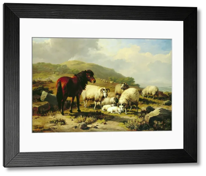 Framed Print : Landscape with Sheep, c1820-1880. Creator: Eugene Verboeckhoven Framed Print : Landscape with Sheep, c1820-1880. Creator: Eugene Verboeckhoven