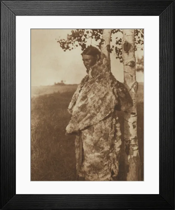 Framed Print : Cree Woman with Fur Robe, 1926. Creator: Edward Sheriff Curtis Framed Print : Cree Woman with Fur Robe, 1926. Creator: Edward Sheriff Curtis