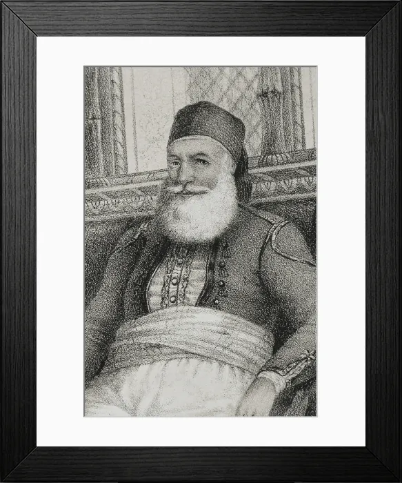 Framed Print : Muhammad Ali, (1769-1849), Pasha of Egypt from 1805 to 1848, 1852. Detail. Creator: Julio Donon Framed Print : Muhammad Ali, (1769-1849), Pasha of Egypt from 1805 to 1848, 1852. Detail. Creator: Julio Donon