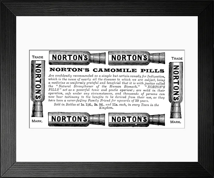 Framed Print : Advertisement for Norton's Camomile Pills, 1890. Creator: Unknown Framed Print : Advertisement for Norton's Camomile Pills, 1890. Creator: Unknown