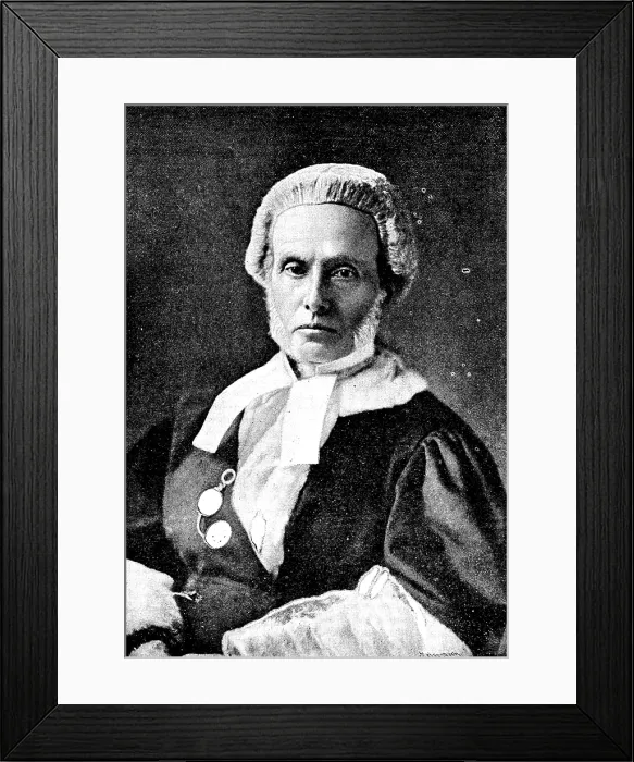 Framed Print : The late Hon. Sir Henry Manisty, Judge of the Supreme Court, 1890. Creator: Unknown Framed Print : The late Hon. Sir Henry Manisty, Judge of the Supreme Court, 1890. Creator: Unknown