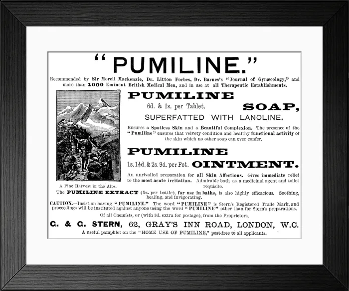 Framed Print : Advertisement for 'Pumiline' Soap and Ointment, 1890. Creator: Unknown Framed Print : Advertisement for 'Pumiline' Soap and Ointment, 1890. Creator: Unknown