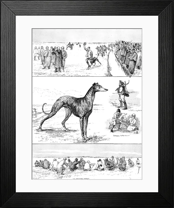 Framed Print : Sketches at the Waterloo Cup Meeting, 1890. Creator: Unknown Framed Print : Sketches at the Waterloo Cup Meeting, 1890. Creator: Unknown