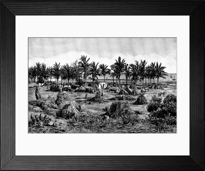 Framed Print : The last camping ground on the African mainland, 1890. Creator: Paterson Framed Print : The last camping ground on the African mainland, 1890. Creator: Paterson
