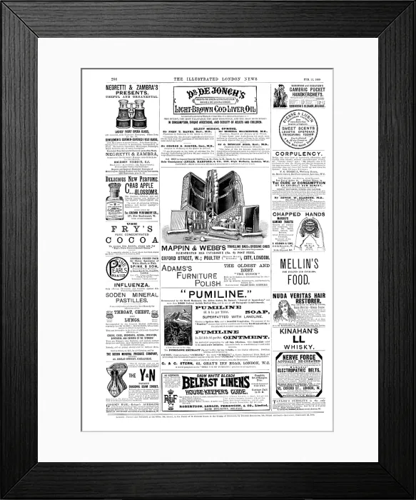 Framed Print : Page of advertisements, 1890. Creator: Unknown Framed Print : Page of advertisements, 1890. Creator: Unknown