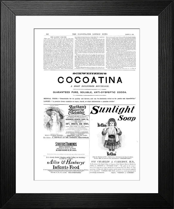 Framed Print : Page of advertisements, 1890. Creator: Unknown Framed Print : Page of advertisements, 1890. Creator: Unknown