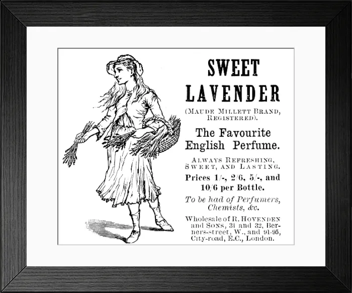 Framed Print : Advertisement for Sweet Lavender perfume, 1890. Creator: Unknown Framed Print : Advertisement for Sweet Lavender perfume, 1890. Creator: Unknown