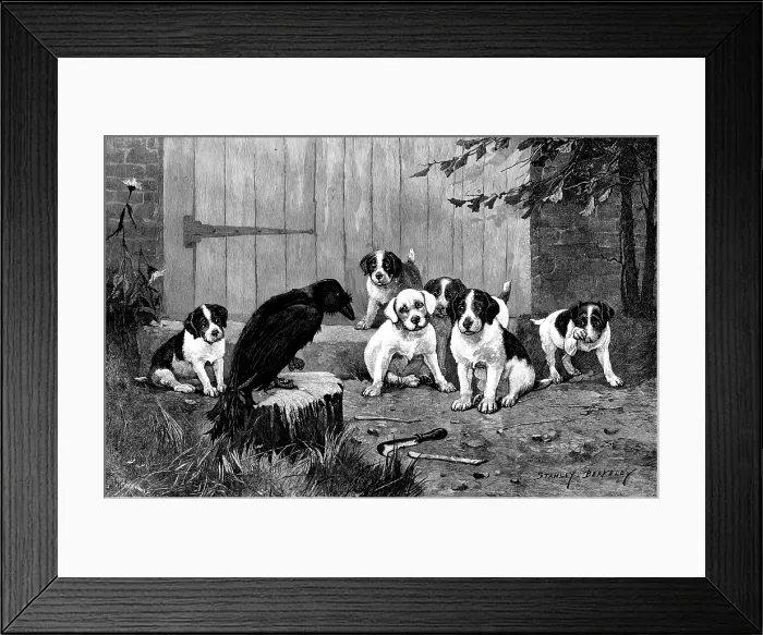 Framed Print : Quoth The Raven: 'Never More!', 1890. Creator: John Greenaway Framed Print : Quoth The Raven: 'Never More!', 1890. Creator: John Greenaway