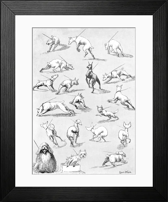 Framed Print : Nature's Fitful Moments: sketches at the Kennel Club Dog Show, 1890. Creator: Carl Hentschel. Nature's Fitful Moments: sketches at the Kennel Club Dog Show, 1890 Framed Print : Nature's Fitful Moments: sketches at the Kennel Club Dog Show, 1890. Creator: Carl Hentschel. Nature's Fitful Moments: sketches at the Kennel Club Dog Show, 1890
