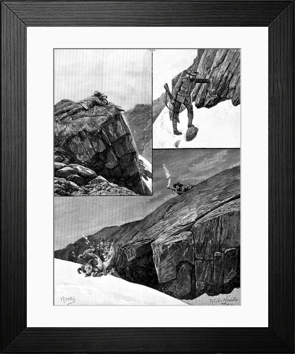Framed Print : After Rocky Mountain Sheep, 1890. Creator: H. F. Davey Framed Print : After Rocky Mountain Sheep, 1890. Creator: H. F. Davey