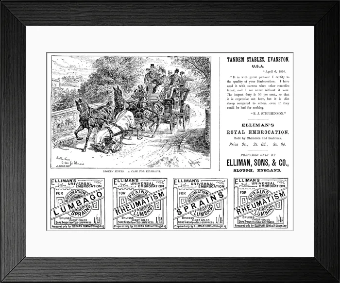 Framed Print : Advertisement for Elliman's Royal Embrocation, 1890. Creator: Joseph Swain Framed Print : Advertisement for Elliman's Royal Embrocation, 1890. Creator: Joseph Swain