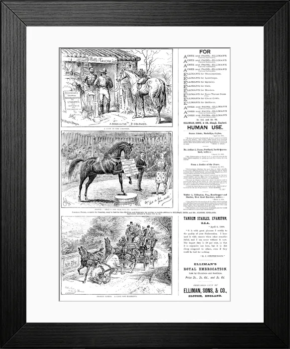 Framed Print : Advertisements for Elliman's Universal Embrocation, 1890. Creator: William Stanfield Sturgess Framed Print : Advertisements for Elliman's Universal Embrocation, 1890. Creator: William Stanfield Sturgess