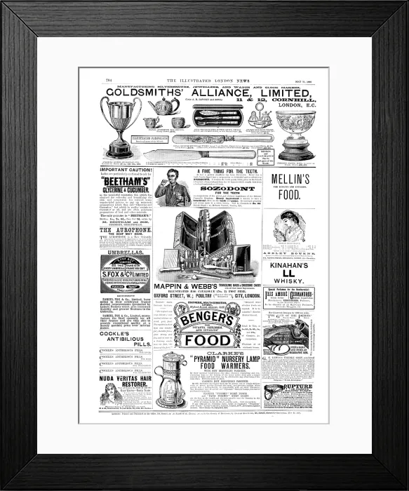 Framed Print : Page of advertisements, 1890. Creator: Unknown Framed Print : Page of advertisements, 1890. Creator: Unknown