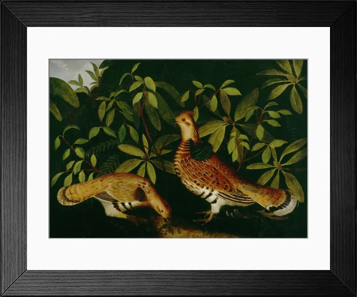 Framed Print : Two Ruffed Grouse in Underbrush, 1864. Creator: Rubens Peale