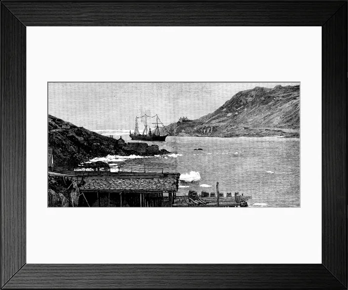 Framed Print : Sketches in Newfoundland: drying stages, with cod-fish, in April: arrival of a new governor, 1890. Creator: Unknown Framed Print : Sketches in Newfoundland: drying stages, with cod-fish, in April: arrival of a new governor, 1890. Creator: Unknown