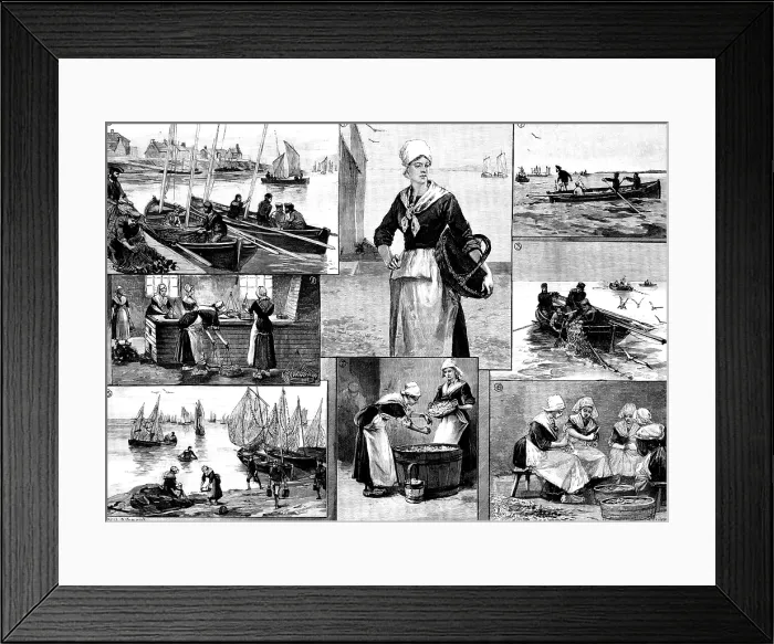 Framed Print : The French Sardine Industry, 1890. Creator: R. Taylor Framed Print : The French Sardine Industry, 1890. Creator: R. Taylor