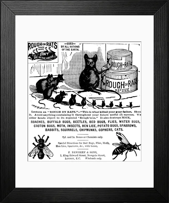 Framed Print : Advertisement for Rough on Rats, 1890. Creator: Unknown Framed Print : Advertisement for Rough on Rats, 1890. Creator: Unknown