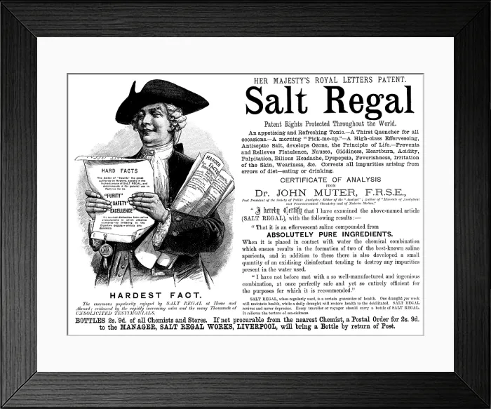 Framed Print : Advertisement for Salt Regal, 1890. Creator: Unknown Framed Print : Advertisement for Salt Regal, 1890. Creator: Unknown