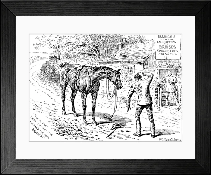 Framed Print : Advertisement for Elliman's Universal Embrocation, 1890. Creator: William Stanfield Sturgess Framed Print : Advertisement for Elliman's Universal Embrocation, 1890. Creator: William Stanfield Sturgess